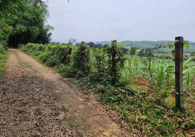 Chính chủ cần bán đất tại Mỹ Hoà - Tân Lạc - Hoà Bình