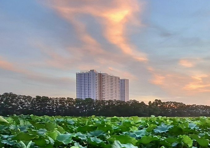 Chung cư HanHomes Blue Star Tr.âu Qu.ỳ, Gia Lâm, Hà Nội. 65m2 2 ngủ. Giá tốt. Lh 0989894845.