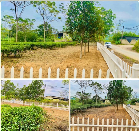 ⭐️Bán đất vị trí đẹp tại Mỹ Bằng, Yên Sơn, Tuyên Quang, 0866899686