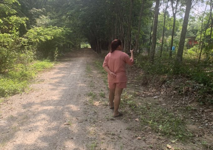 BÁN ĐẤT TRỒNG CÂY LÂU NĂM