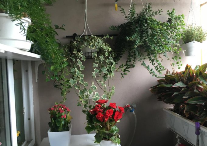 Bán gấp chung cư CT17-Greenhouse-kdt Việt Hưng-Long Biên-80m 2n2wc-giá 1.98 tỷ (thương lượng)