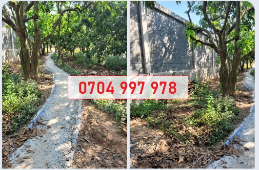 💥Bán đất vị trí đẹp tại An Nhơn, P.6, TP.Cao Lãnh, Đồng Tháp; 0704997978