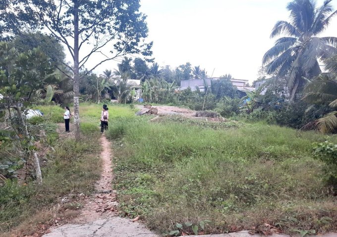 CẦN BÁN GẤP  Xã Đông Phước .Huyện Châu Thành. Tỉnh Hậu Giang.tp Cần Thơ