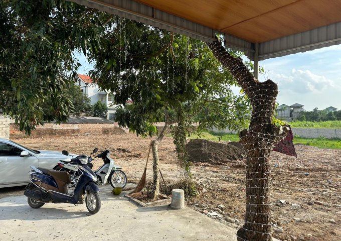 CHO THUÊ NHÀ XƯỞNG 3000m2 SƠN ĐÔNG SƠN TÂY HN