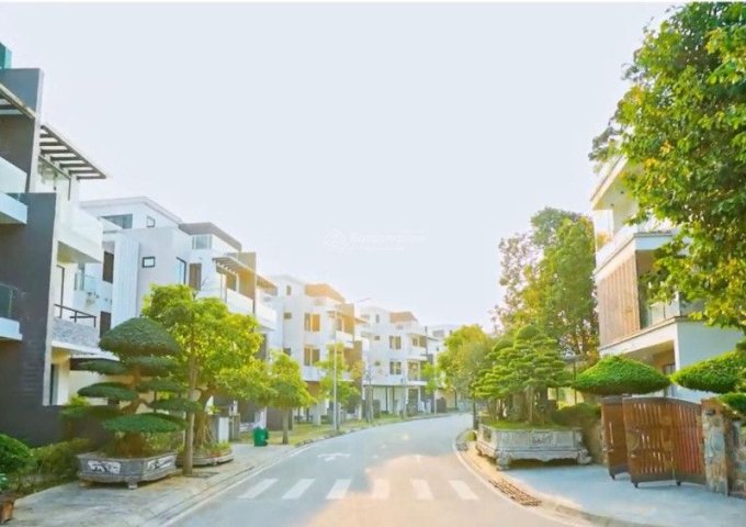 DỰ ÁN Khu Đô Thị PHÚ CÁT CITY Tại Hòa Lạc - Hà Nội  - Tiềm Năng Đầu Tư Sinh Lời