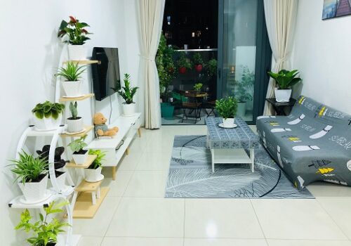 Chính chủ cho thuê căn hộ cao cấp khu Celadon City Quận Tân Phú, HCM