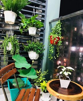 Chính chủ cho thuê căn hộ cao cấp khu Celadon City Quận Tân Phú, HCM