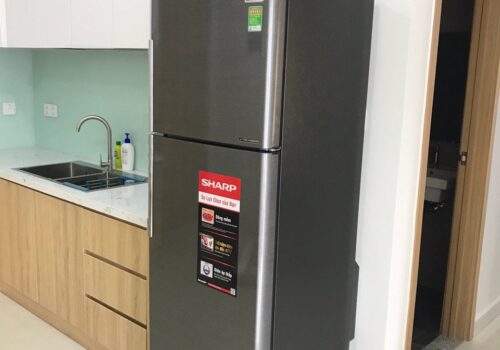 Chính chủ cho thuê căn hộ cao cấp khu Celadon City Quận Tân Phú, HCM