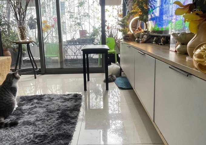 chung cư Rose Town 79 Ngọc Hồi 80 mét 2 ngủ chỉ 2,9 tỷ
