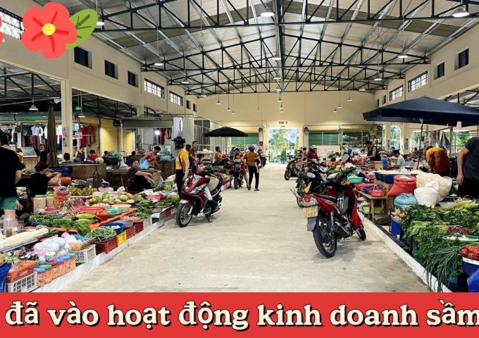 950tr sở hữu ngay đất nền cổng chợ đầu mối kinh doanh được luôn tại trung tâm TP đông dân 