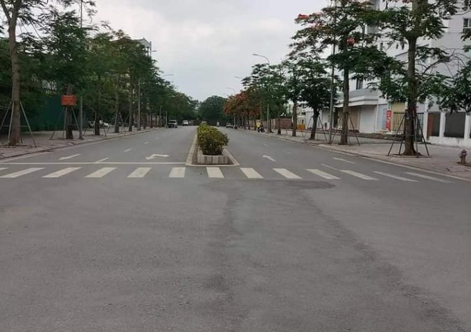 BÁN LIỀN KỀ KDT EDEN ROSE, 80M2 GIÁ CHỈ 11.8 TỶ