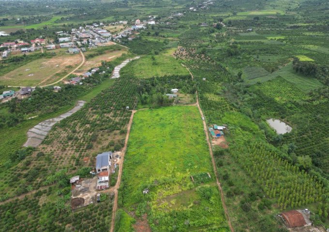 Sở Hữu Ngay Lô Đất Đẹp Vị Trí Đắc Địa Tại huyện Krông Năng, Đak Lak