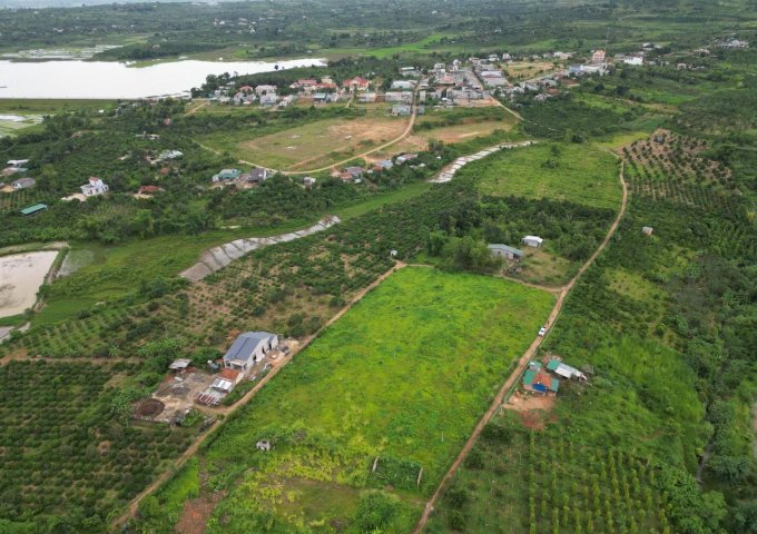 Sở Hữu Ngay Lô Đất Đẹp Vị Trí Đắc Địa Tại huyện Krông Năng, Đak Lak