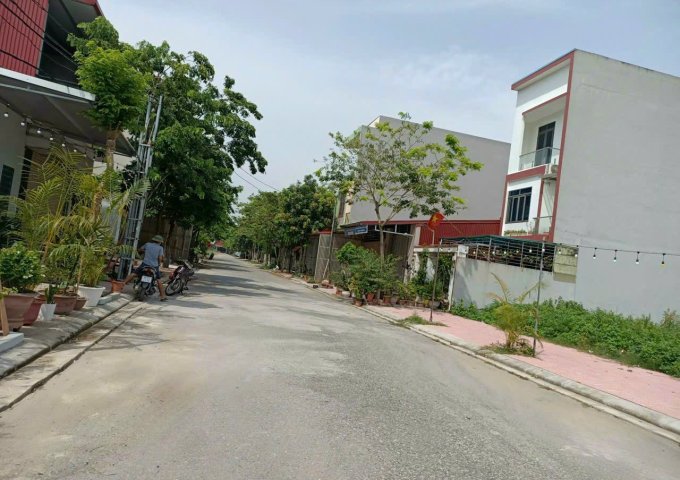Bán đất tại Đường KĐT Nam Hồng, Từ Sơn,  Bắc Ninh diện tích 110m2  giá 25 Triệu/m²