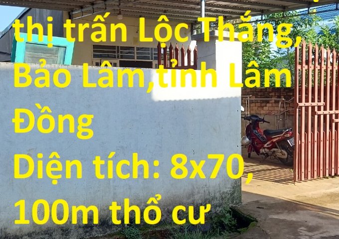 Cần Bán Căn Nhà Tại thị trấn Lộc Thắng, Bảo Lâm,tỉnh Lâm Đồng