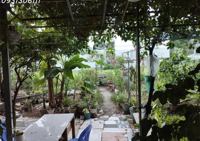 Biệt thự vườn Ehome 4 Vĩnh Phú Thuận An 84 m2 và 250m sân vườn hơn 4 tỷ