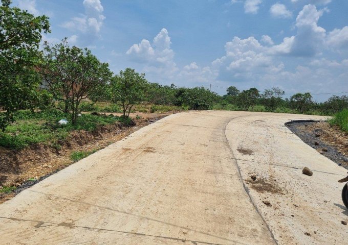 Sở Hữu Lô Đất Vị Trí Đắc Địa Tại Xã Nam Dong, Huyện Cư jut, Đắk nông