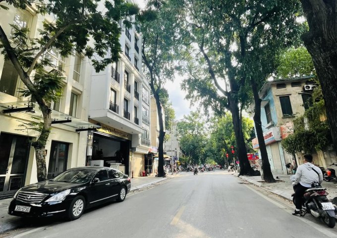 Bán nhà phố Phạm Đình Hổ sau mặt phố 1 nhà, diện tích 73m2 x 4 tầng, mặt tiền 8.3m, 26 tỷ 