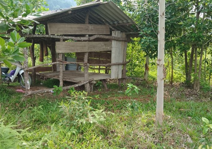 Chính chủ cần bán Lô đất Trang Trại Thuộc Km 30 Minh Ngọc - Bắc Mê - Hà Giang.