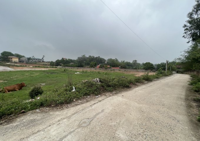 Bán đất tại trung tâm xã Hướng Đạo, Tam Dương, Vĩnh Phúc diện tích 100m2 giá 550 Triệu