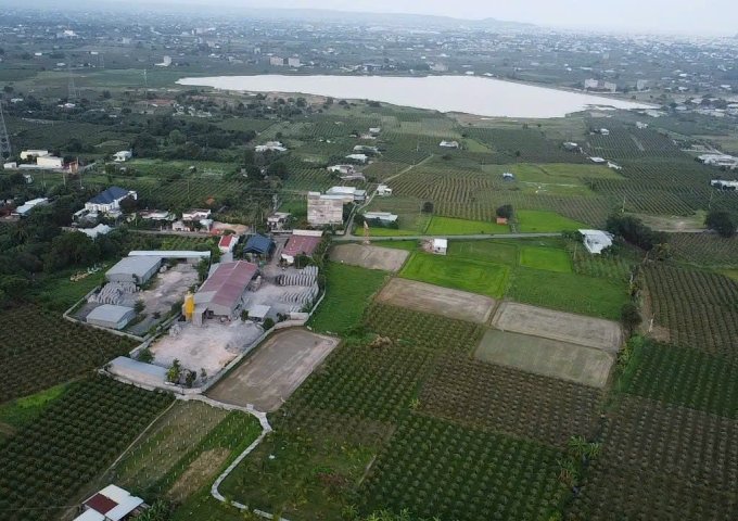 ĐẤT ĐẸP - GIÁ TỐT Vị Trí Đắc Địa Mặt Tiền Nhựa Lớn Tại Xã Hàm Hiệp, Hàm Thuận Bắc
