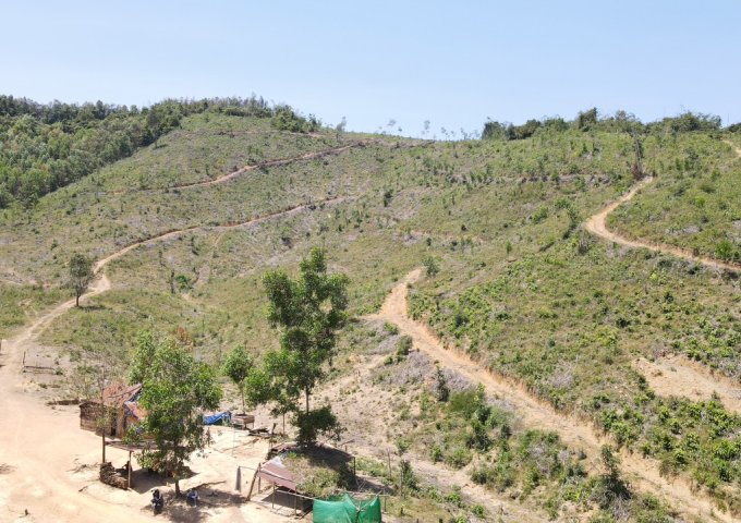 bán đất thích hợp trồng Sầu Riêng rộng 10 hecta đường oto có Suối huyện Khánh Vĩnh