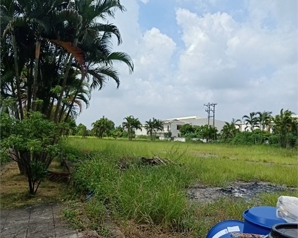 Bán 15ha đất kho nhà xưởng 50 năm tại Huyện Cẩm Giàng, Tỉnh Hải Dương