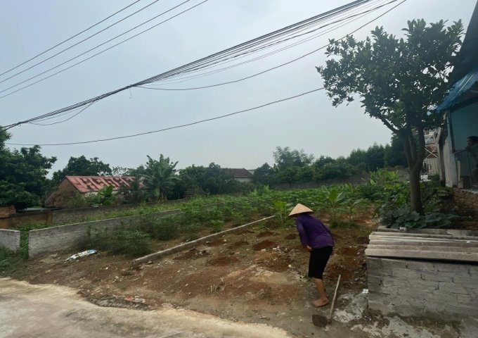 Chính chủ bán đất tại Lan Mẫu, Lục Nam, Bắc Giang