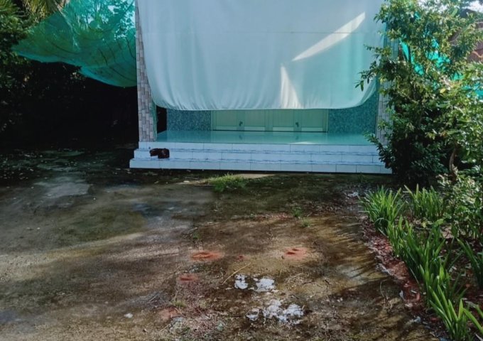 BÁN ĐẤT TẶNG NHÀ Vị Trí Đẹp Tại huyện Càng Long, tỉnh Trà Vinh