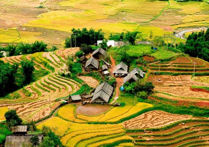 Bán đất tại Đường Cầu Mây, Sa Pa, Lào Cai diện tích 2,000m2 giá 1.3 Triệu