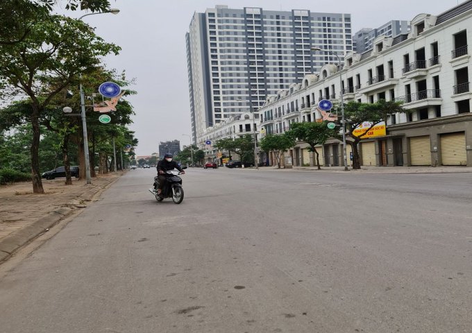 Bán Biệt thự liền kề 76m2  tại Trâu Quỳ, Gia Lâm, Hà Nội.