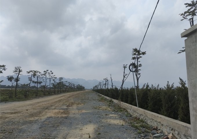 Bán 420.000m2 đất kho nhà xưởng 50 năm tại Huyện Thanh Miện, Tỉnh Hải Dương