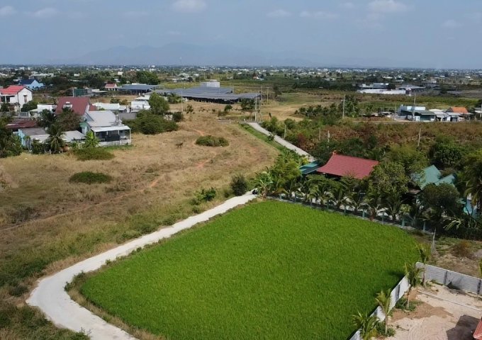 Bán đất tại Đường Xoài Quỳ, Hàm Thuận Bắc,  Bình Thuận  