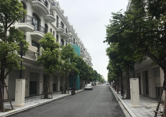 Chính chủ đăng bán gấp căn liền kề 75m2 cắt lỗ 3 tỷ tại Vinhomes Hưng Yên