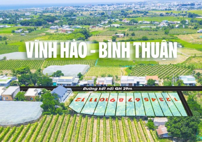 Đất biển Tuy Phong Bình Thuận giá chỉ 6trđ 