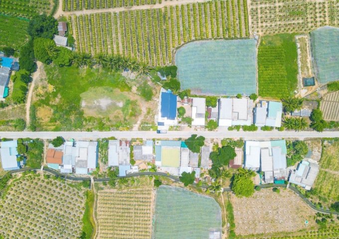 Bán đất nền dự án tại Xã Phước Thể, Huyện Tuy Phong, Bình Thuận giá 6,2 Triệu