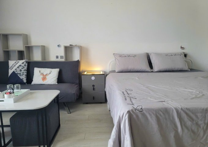 Cho thuê căn hộ chung cư tại Đường Lê Văn Duyệt, Sơn Trà,  Đà Nẵng  giá 10 Triệu/tháng