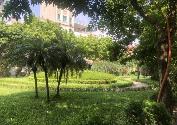 Bán nhà Cổ Linh, Phân lô, View vườn hoa, 40m2, 3T, nhĩnh 8 tỷ.
