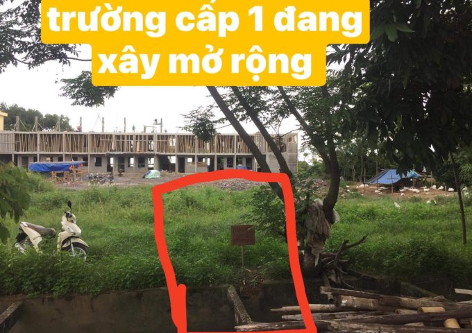 ĐẤT ĐẸP - GIÁ TỐT - Cần Bán Lô Đất Đẹp Tại xã Hoằng Thắng, huyện Hoằng Hóa, tỉnh Thanh Hóa