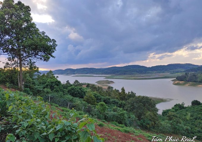 Cần bán 30ha đất đẹp View hồ Đại Ninh xã Tà Hine,Đức Trọng,Lâm Đồng,giá 500 triệu/sào TL