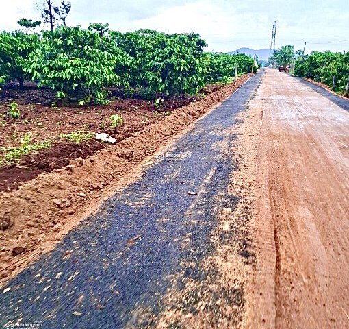 CHÍNH CHỦ CẦN BÁN 2 LÔ ĐẤT ĐẸP TẠI XÃ IA DÊR-H.LA GRAI-GIA LAI