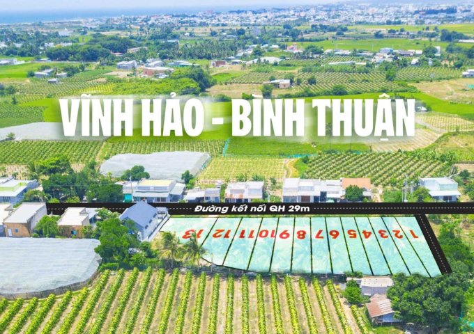 Đất Biển Liên Hương, Bình Thuận giá sốc chỉ 700 triệu/ nền, Full thổ cư, Đường lớn 29m