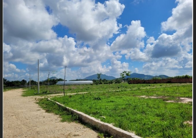 Bán đất tại Phước Hòa, Phú Mỹ,  Bà Rịa Vũng Tàu diện tích 99m2  giá 299 Triệu