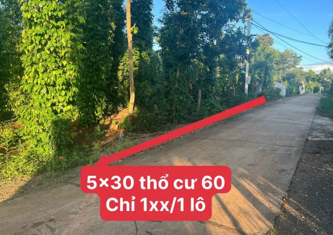 Bán đất mặt tiền đường bê tông, diện tích 150m2 sẵn 60m2 TC tại Ea Bhok- Cưkuin xã giàu giá chỉ 1xx
