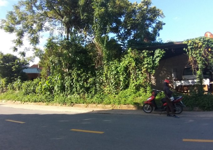 Cần tiền bán gấp đất tại Quốc Lộ 15A, Quang Phong, Thị xã Thái Hòa