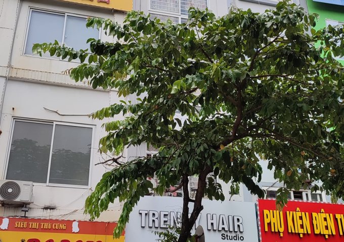 Bán 60m2 nhà mặt phố Nguyễn Trãi Thanh Xuân Royal kinh doanh 16 tỷ.
