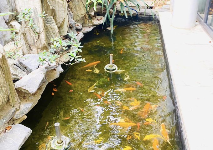 Bán biệt thự KĐT Dịch Vọng, Vị trí đẹp, View công viên, Ô tô tránh, vỉa hè, 268m2, MT 16m, 72 tỷ