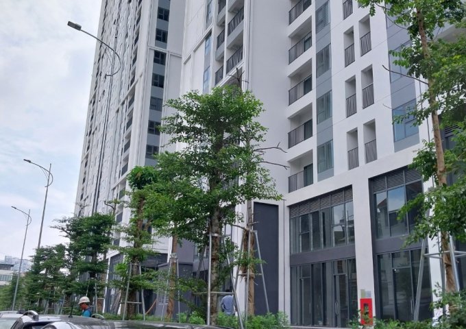 BÁN NHÀ NGÕ 279 HOÀNG MAI 34M × 5T Ô TÔ. KINH DOANH NGÀY & ĐÊM. CHỈ 4 TỶ HƠN