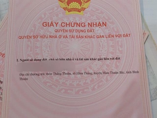Chính Chủ Cần Bán 1 Mẫu Đất Ruộng Tại Hàm Phú, Thuận Minh, Hàm Thuận Bắc , Bình Thuận