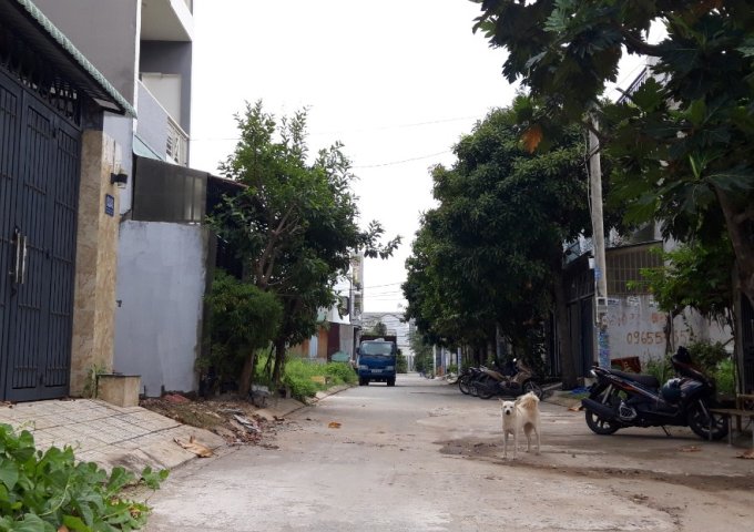  Bán nhà riêng tại Đường Nguyễn Duy Trinh, Quận 9, Hồ Chí Minh diện tích 116m2
